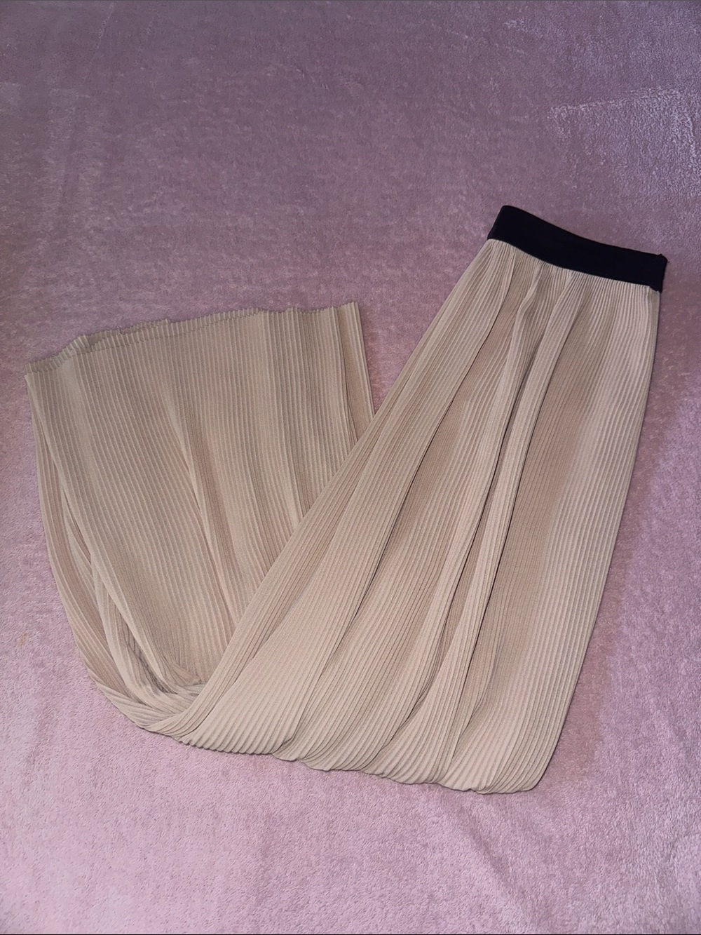 Zara Pleated Wide Leg Pants